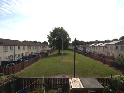Picture 11